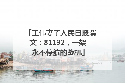 王伟妻子人民日报撰文：81192，一架永不停航的战机
