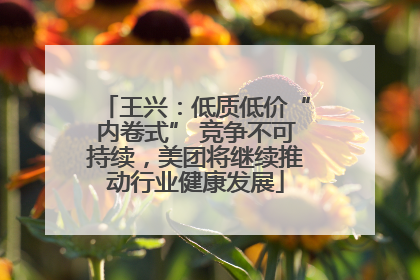 王兴：低质低价“内卷式” 竞争不可持续，美团将继续推动行业健康发展