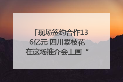 现场签约合作136亿元 四川攀枝花在这场推介会上画“图谱”列“清单”