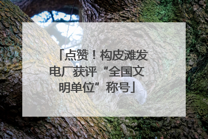 点赞！构皮滩发电厂获评“全国文明单位”称号