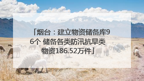 烟台：建立物资储备库96个 储备各类防汛抗旱类物资186.52万件