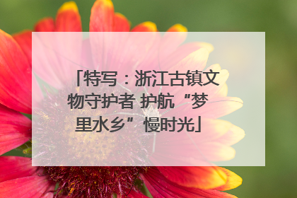 特写：浙江古镇文物守护者 护航“梦里水乡”慢时光