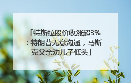 特斯拉股价收涨超3%：特朗普无意沟通，马斯克父亲劝儿子低头