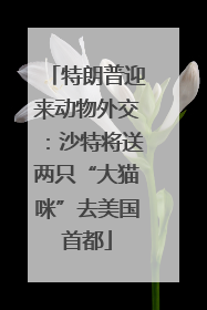 特朗普迎来动物外交：沙特将送两只“大猫咪”去美国首都