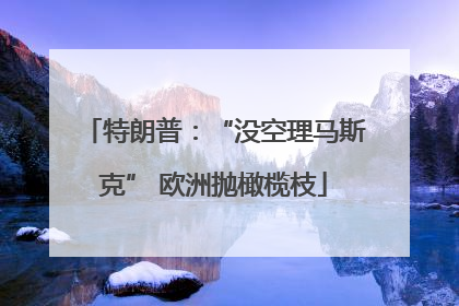 特朗普：“没空理马斯克” 欧洲抛橄榄枝