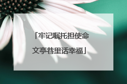 牢记嘱托担使命 文亭巷里话幸福