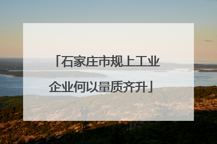 石家庄市规上工业企业何以量质齐升