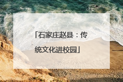 石家庄赵县：传统文化进校园