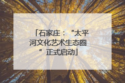 石家庄：“太平河文化艺术生态圈”正式启动