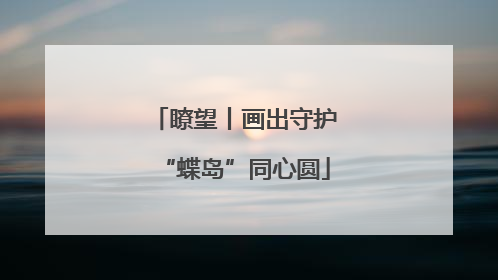 瞭望丨画出守护“蝶岛”同心圆