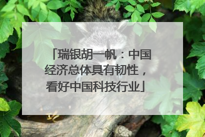瑞银胡一帆：中国经济总体具有韧性，看好中国科技行业