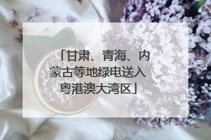 甘肃、青海、内蒙古等地绿电送入粤港澳大湾区