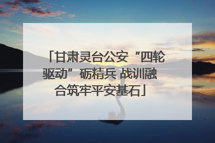 甘肃灵台公安“四轮驱动”砺精兵 战训融合筑牢平安基石