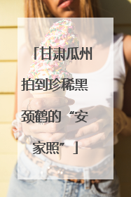 甘肃瓜州拍到珍稀黑颈鹤的“安家照”