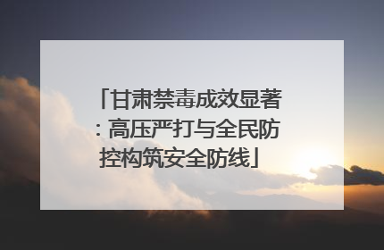 甘肃禁毒成效显著：高压严打与全民防控构筑安全防线