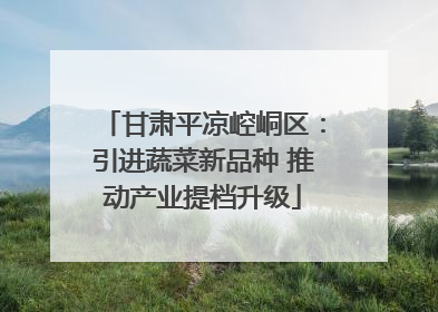 甘肃平凉崆峒区：引进蔬菜新品种 推动产业提档升级