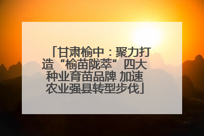甘肃榆中：聚力打造“榆苗陇萃”四大种业育苗品牌 加速农业强县转型步伐