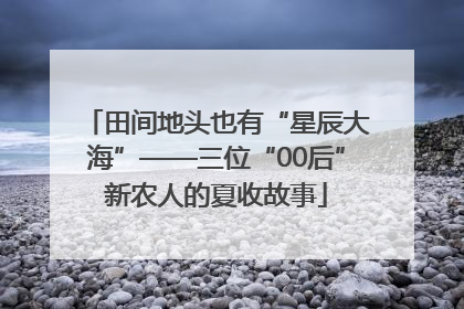 田间地头也有“星辰大海”——三位“00后”新农人的夏收故事