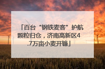 百台“钢铁麦客”护航颗粒归仓，济南高新区4.7万亩小麦开镰
