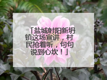盐城射阳新坍镇这场宣讲，村民抢着听，句句说到心坎！