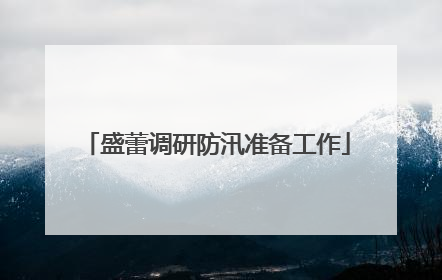 盛蕾调研防汛准备工作