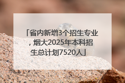 省内新增3个招生专业，烟大2025年本科招生总计划7520人