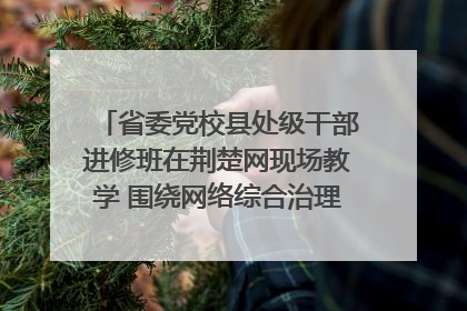 省委党校县处级干部进修班在荆楚网现场教学 围绕网络综合治理工作展开交流