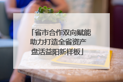 省市合作双向赋能 助力打造全省资产盘活益阳新样板