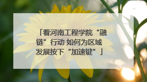 看河南工程学院“融链”行动 如何为区域发展按下“加速键”