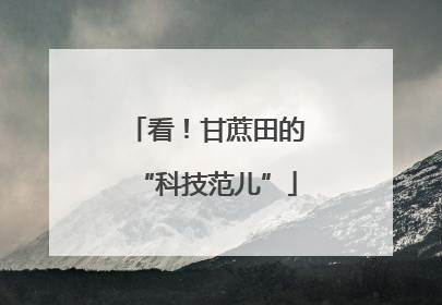 看！甘蔗田的“科技范儿”