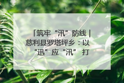 筑牢“汛”防线｜慈利县罗塔坪乡：以“迅”应“汛” 打赢暴雨防御战