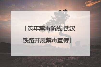 筑牢禁毒防线 武汉铁路开展禁毒宣传