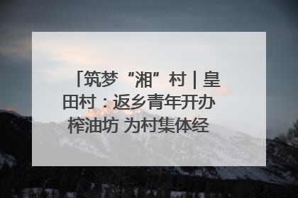 筑梦“湘”村｜皇田村：返乡青年开办榨油坊 为村集体经济“加油”
