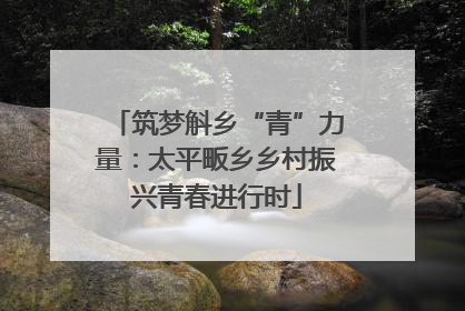 筑梦斛乡“青”力量：太平畈乡乡村振兴青春进行时