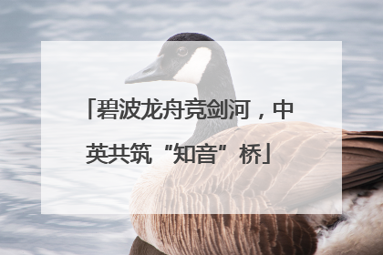 碧波龙舟竞剑河，中英共筑“知音”桥