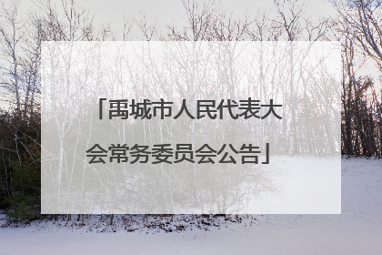 禹城市人民代表大会常务委员会公告