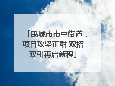 禹城市市中街道：项目攻坚正酣 双招双引再启新程