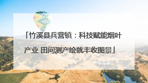 竹溪县兵营镇：科技赋能烟叶产业 田间测产绘就丰收图景