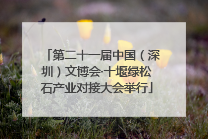 第二十一届中国（深圳）文博会·十堰绿松石产业对接大会举行