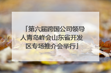 第六届跨国公司领导人青岛峰会山东省开发区专场推介会举行