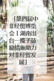 第四届中非经贸博览会丨湖南出台一揽子鼓励措施助力对非经贸发展
