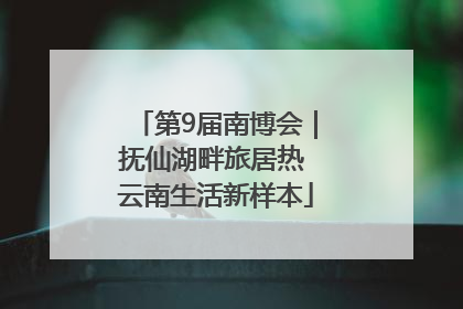 第9届南博会｜抚仙湖畔旅居热 云南生活新样本