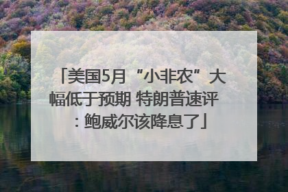 美国5月“小非农”大幅低于预期 特朗普速评：鲍威尔该降息了