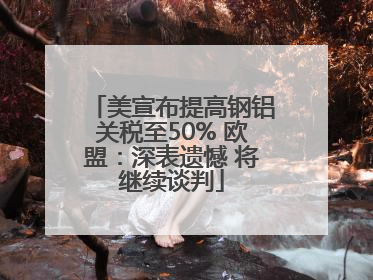 美宣布提高钢铝关税至50% 欧盟：深表遗憾 将继续谈判