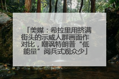 美媒：希拉里用挤满街头的示威人群画面作对比，嘲讽特朗普“低能量”阅兵式观众少