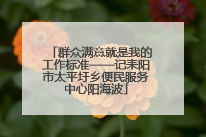 群众满意就是我的工作标准——记耒阳市太平圩乡便民服务中心阳海波