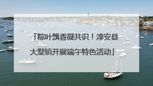 粽叶飘香凝共识！淳安县大墅镇开展端午特色活动
