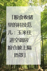 粮食收储里的科技范儿：玉米住进空调房 粮仓披上隔热罩