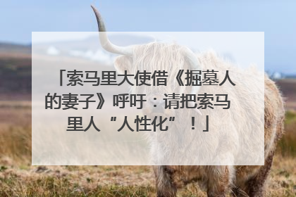 索马里大使借《掘墓人的妻子》呼吁：请把索马里人“人性化”！