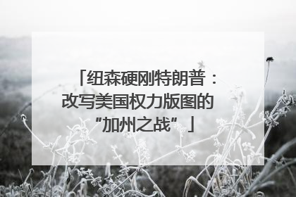 纽森硬刚特朗普：改写美国权力版图的 “加州之战”